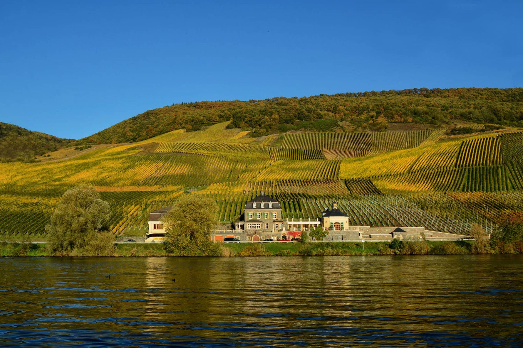 Worlds Best Vineyards Top 10