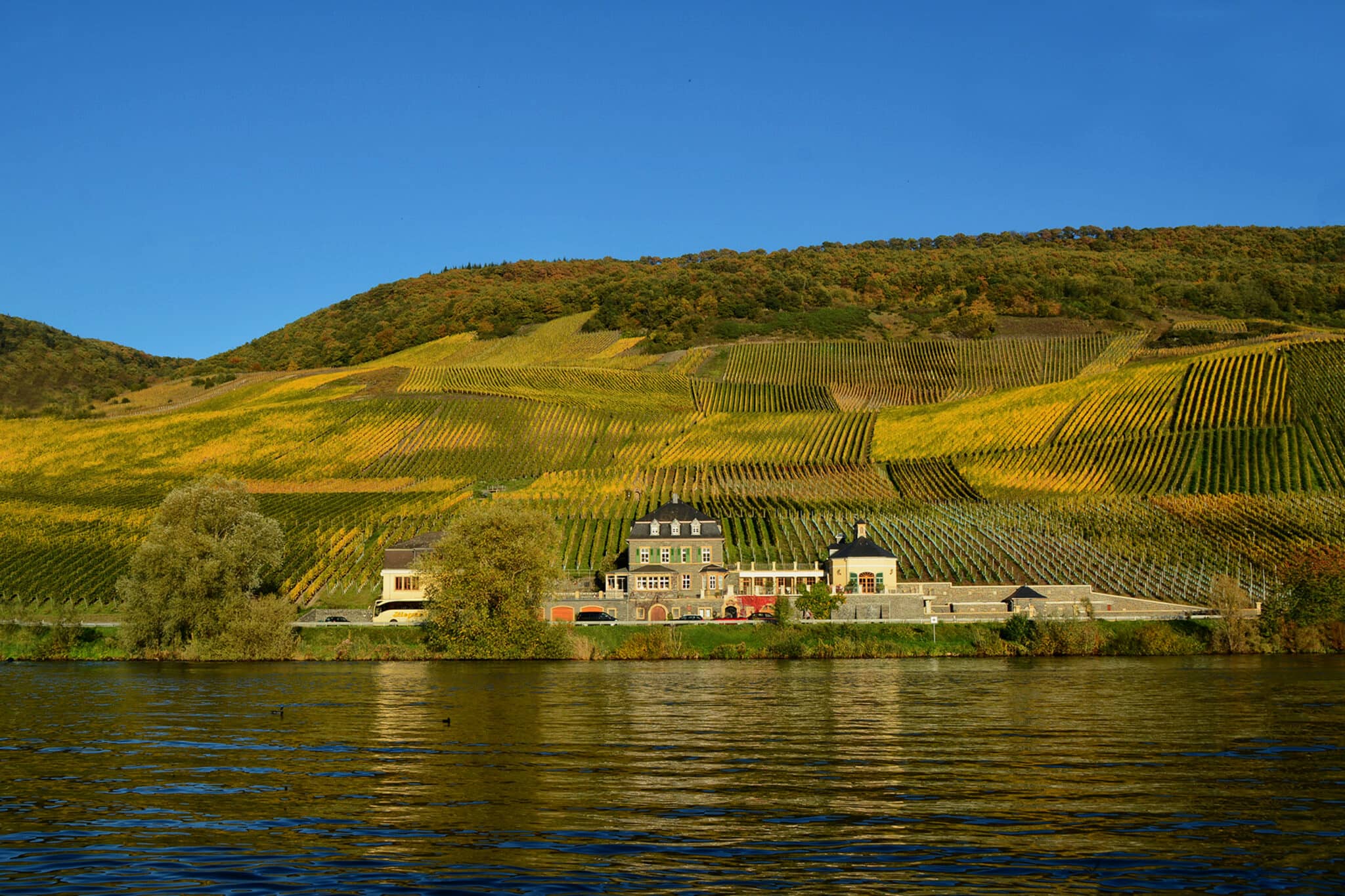 Worlds Best Vineyards Top 10