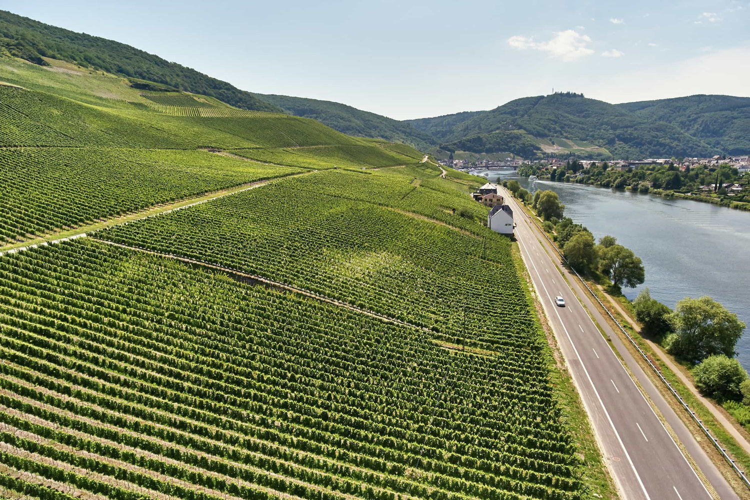 Bernkasteler Johannisbrünnchen