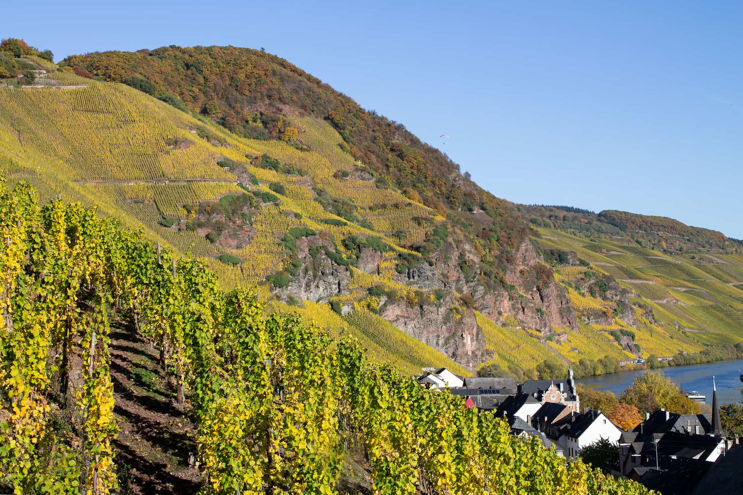 Ürziger Würzgarten