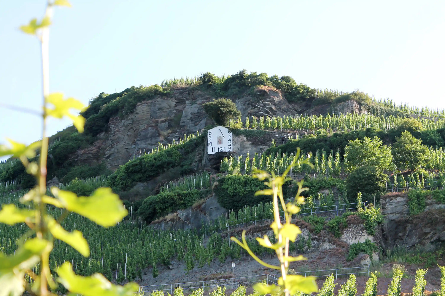 Wehlener Sonnenuhr