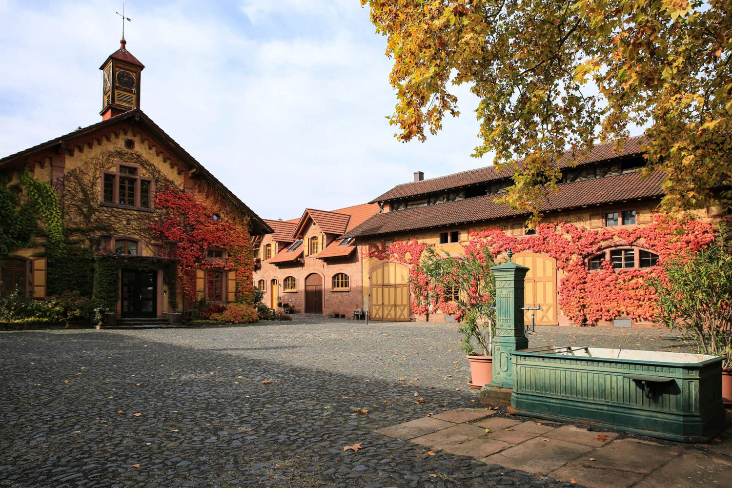Villa Wolf - In Wachenheim an der Weinstraße