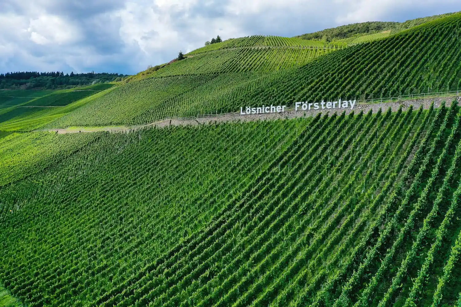 Lösnicher Försterlay