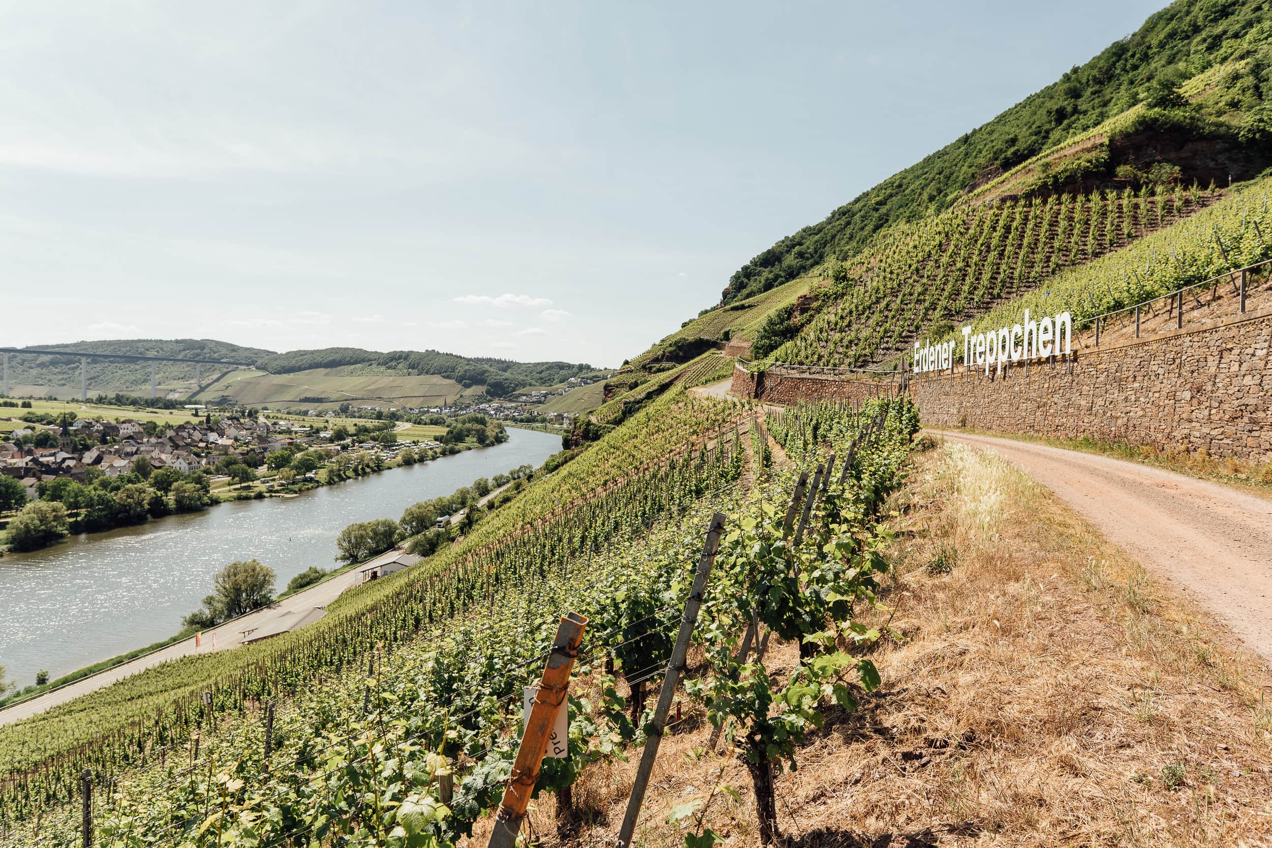 Panoramaausblick von der Lage „Erdener Treppchen” 
