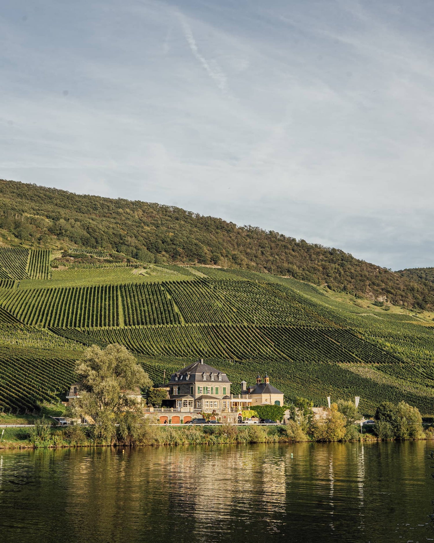 Panoramaausblick von der Mosel und von der historischen Villa des Weinguts Doktor Loosen.
