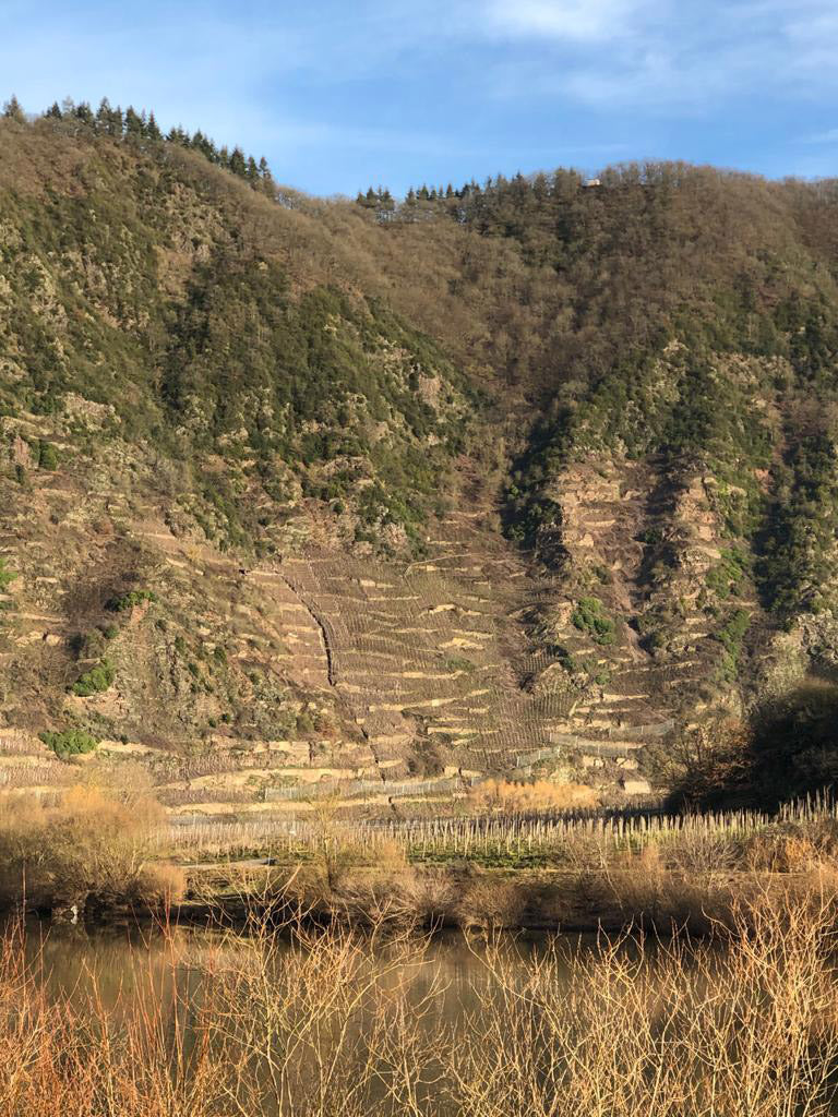 Panoramaausblick von der Lage „Bremmer Calmont” 