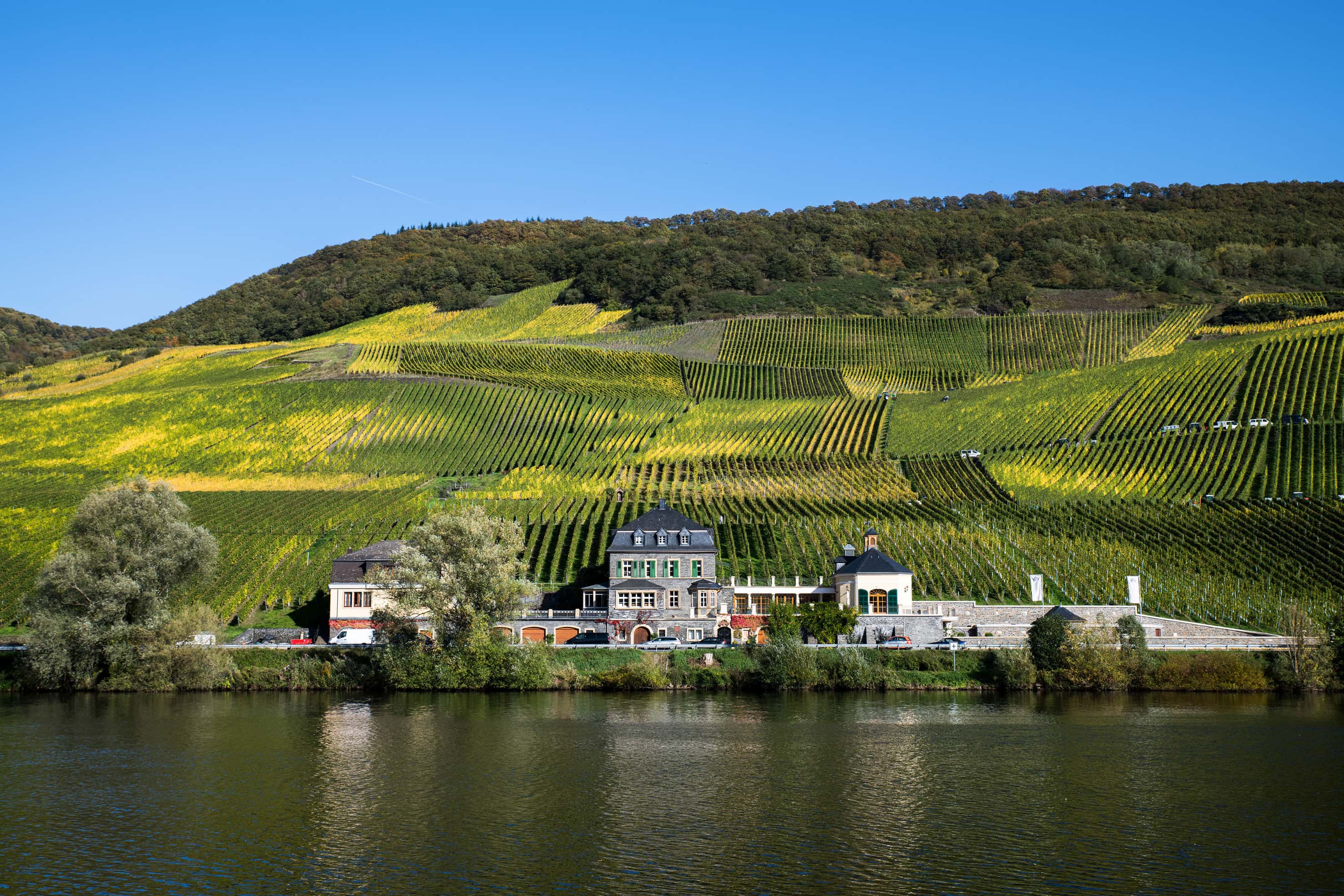 Panoramaausblick von der Mosel und von der historischen Villa des Weinguts Doktor Loosen.
