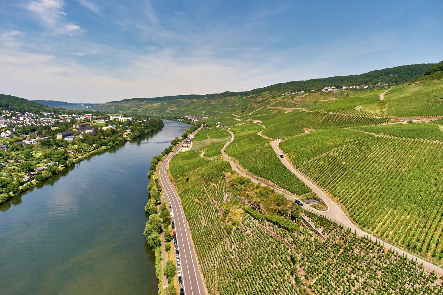 Panoramaausblick von der Lage „Bernkasteler Lay” 
