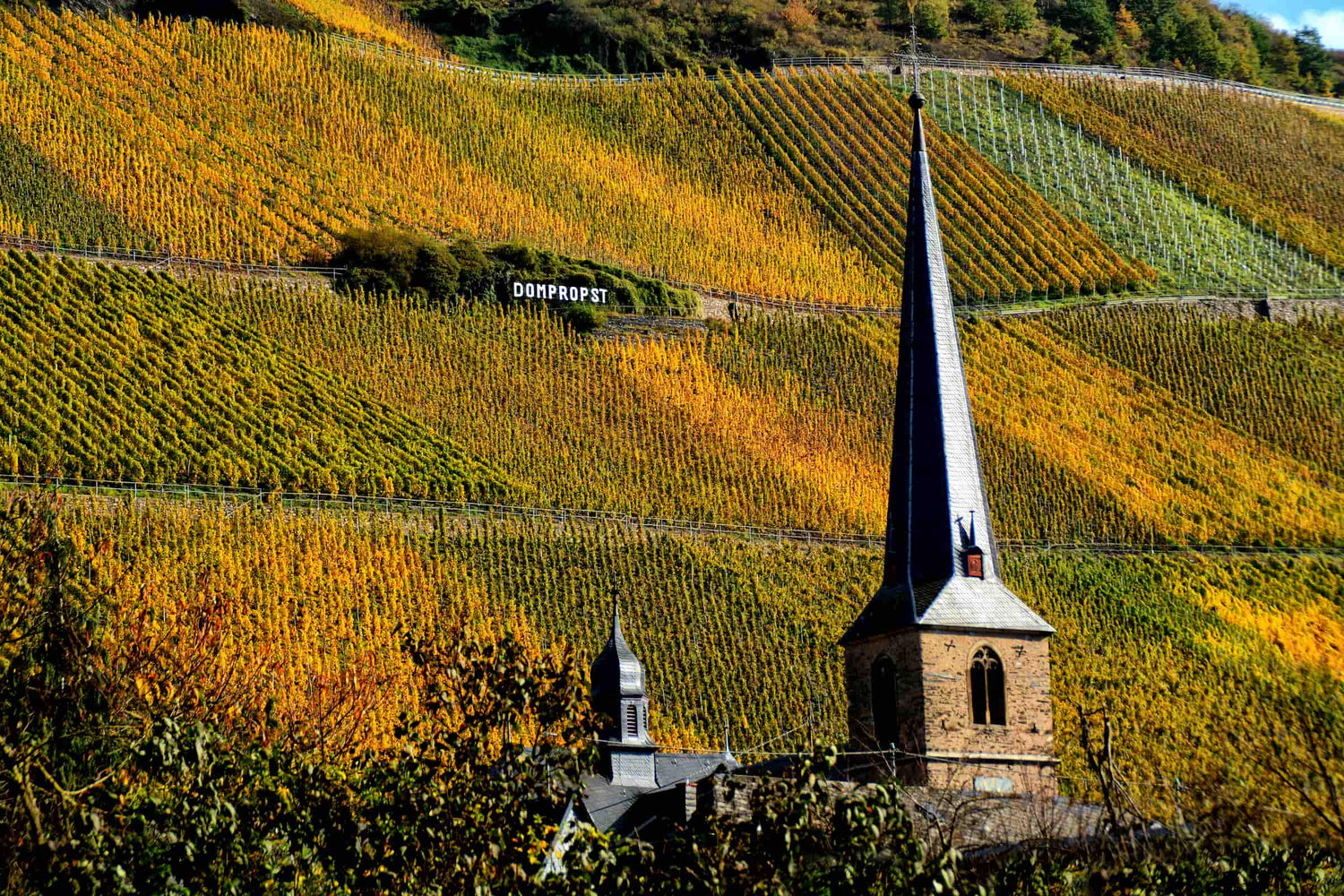 Panoramaausblick von der Lage „Graacher Domprobst" 
