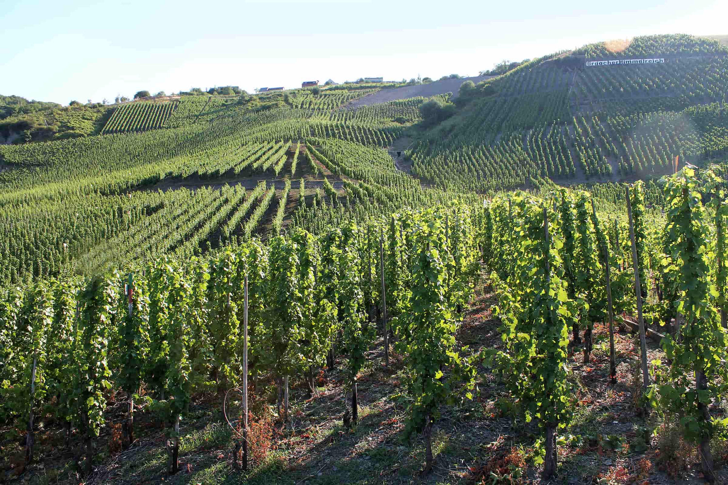 Panoramaausblick von der Lage „Graacher Himmelreich” 
