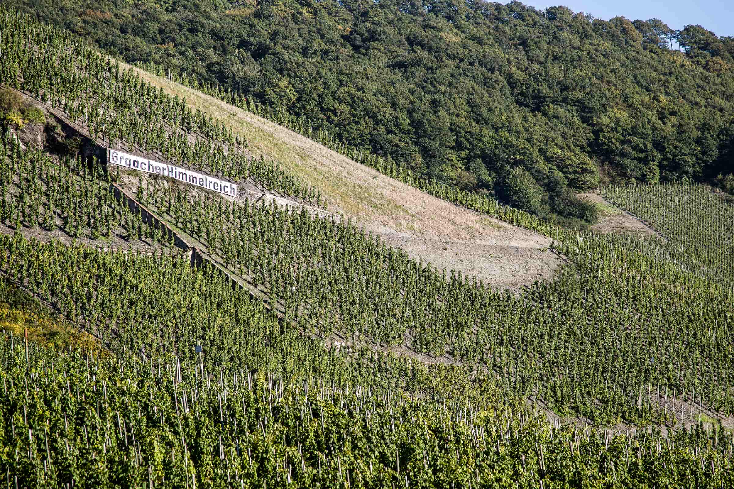 Panoramaausblick von der Lage „Graacher Himmelreich” 
