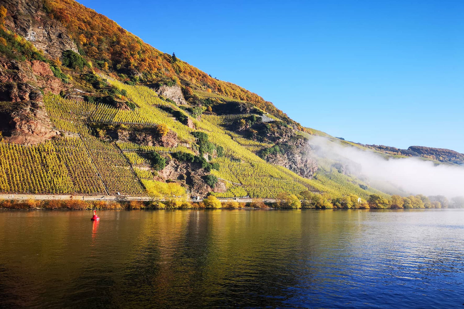 Panoramaausblick von der Lage „Prälat Treppchent” 
