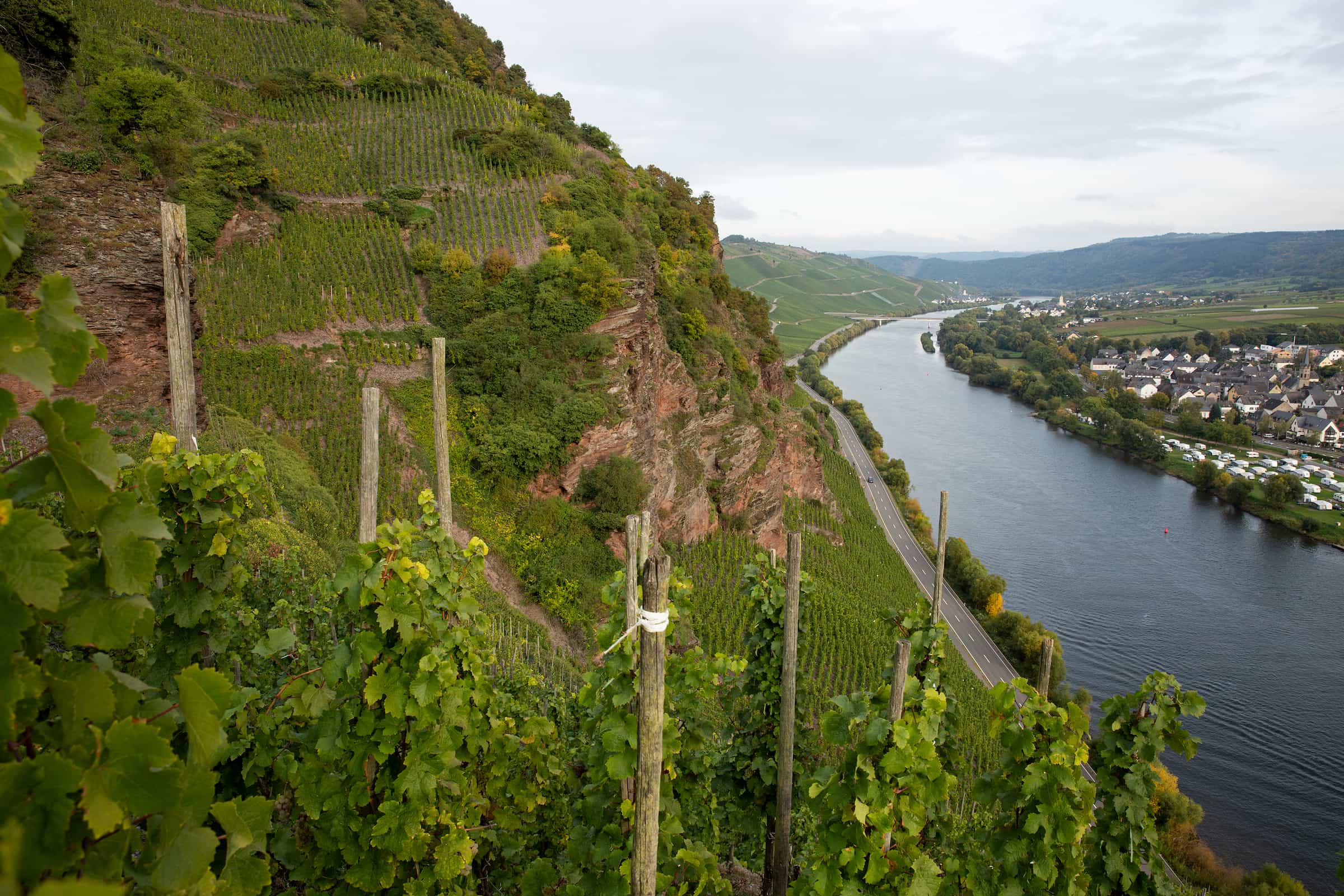 Panoramaausblick von der Lage „Ürziger Wuerzgarten” 
