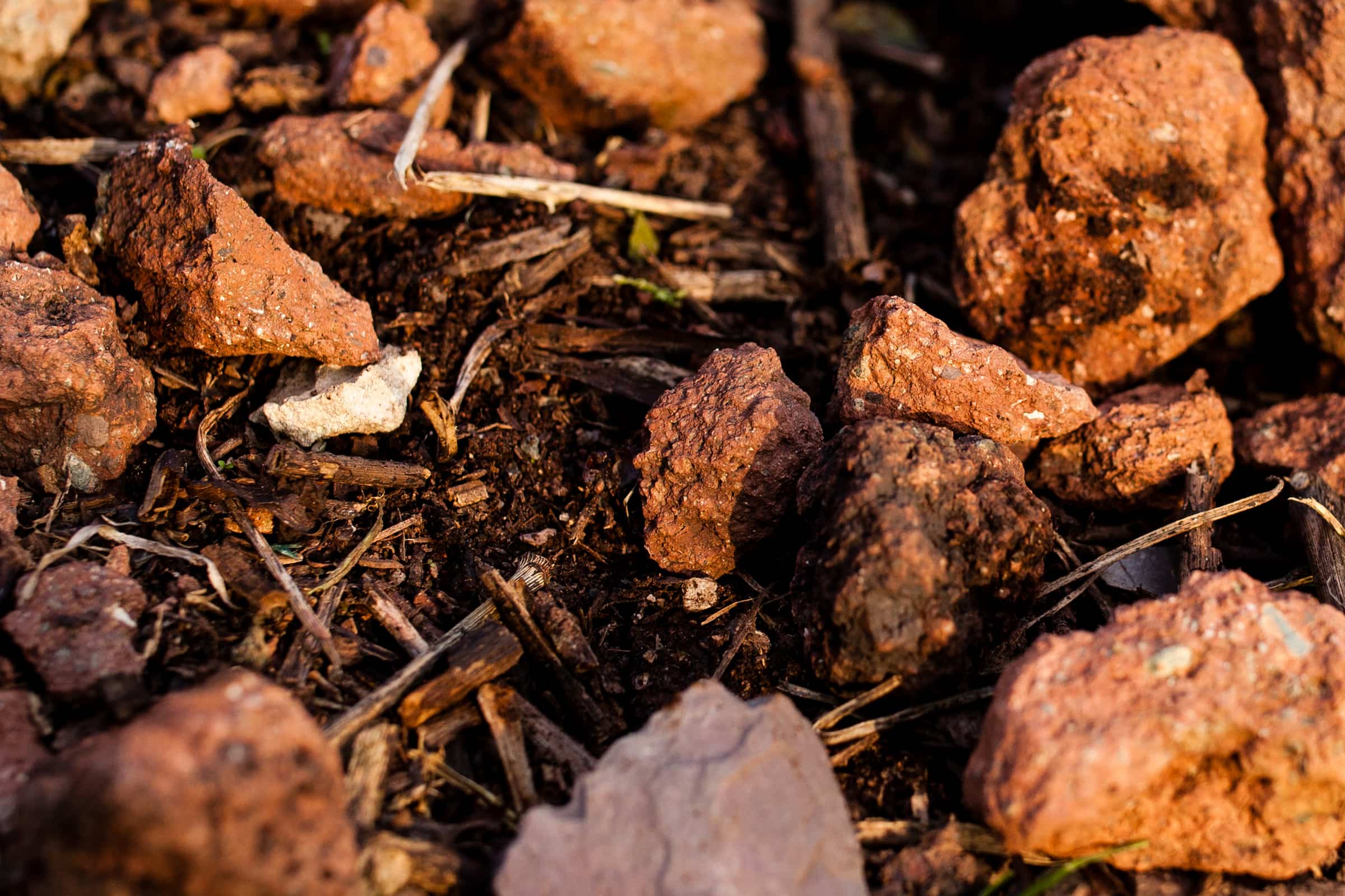 Vulkanboden am Weinberg des Weinguts Doktor Loosen
