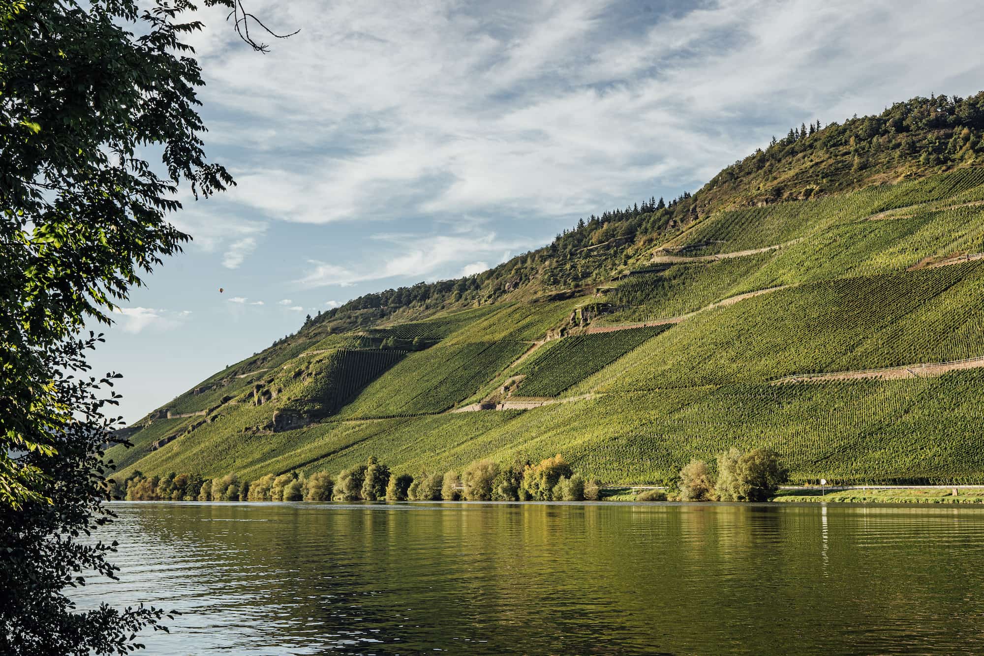 Panoramaausblick von der Mosel