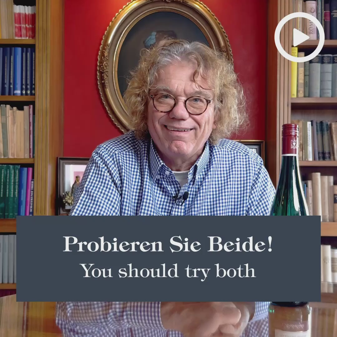 2024 Rotschiefer Riesling trocken