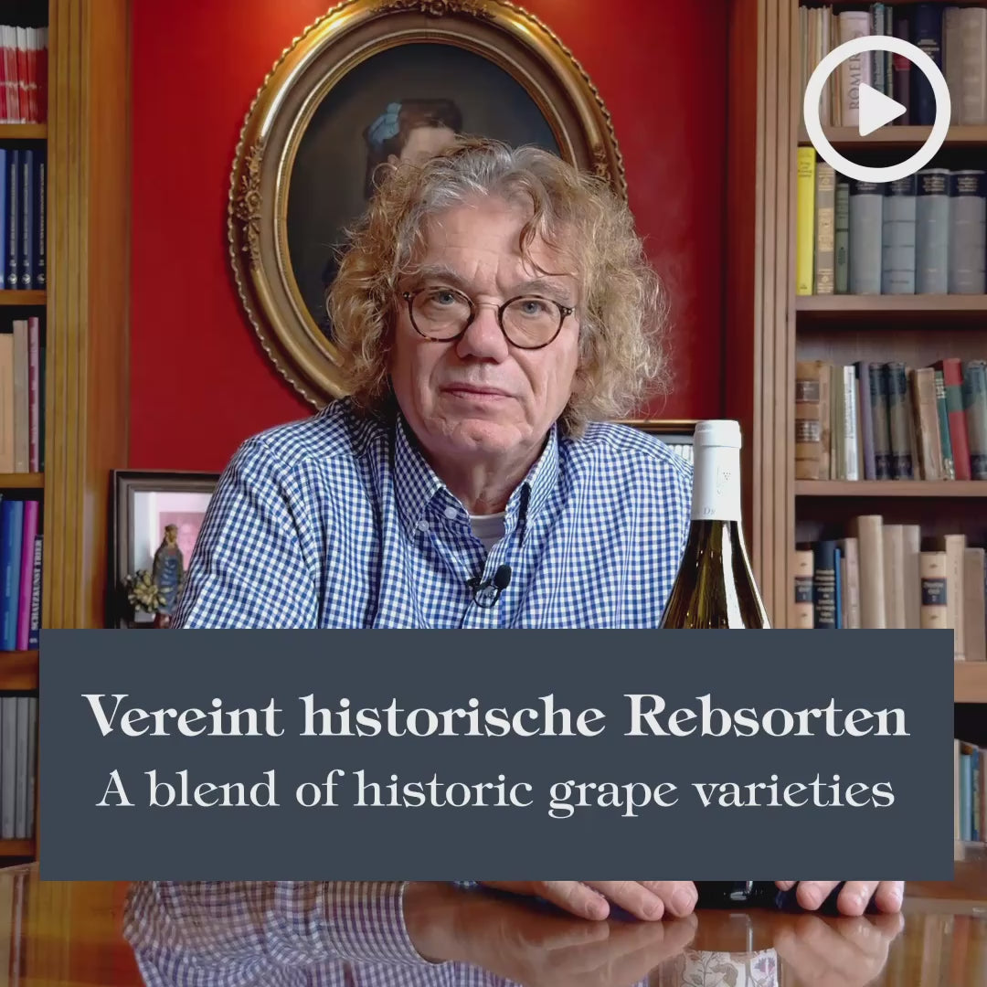 2023 Quini Cuvée Blanc